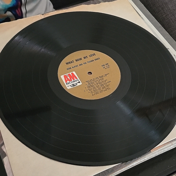 Herb Alpert & the Tijuana Brass, What Now My Love LP Vinyl 1960's - Picture 5 of 6